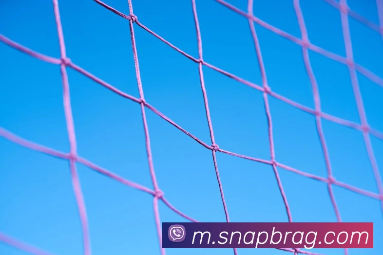 ag百家乐APP 体育赛事宣传图